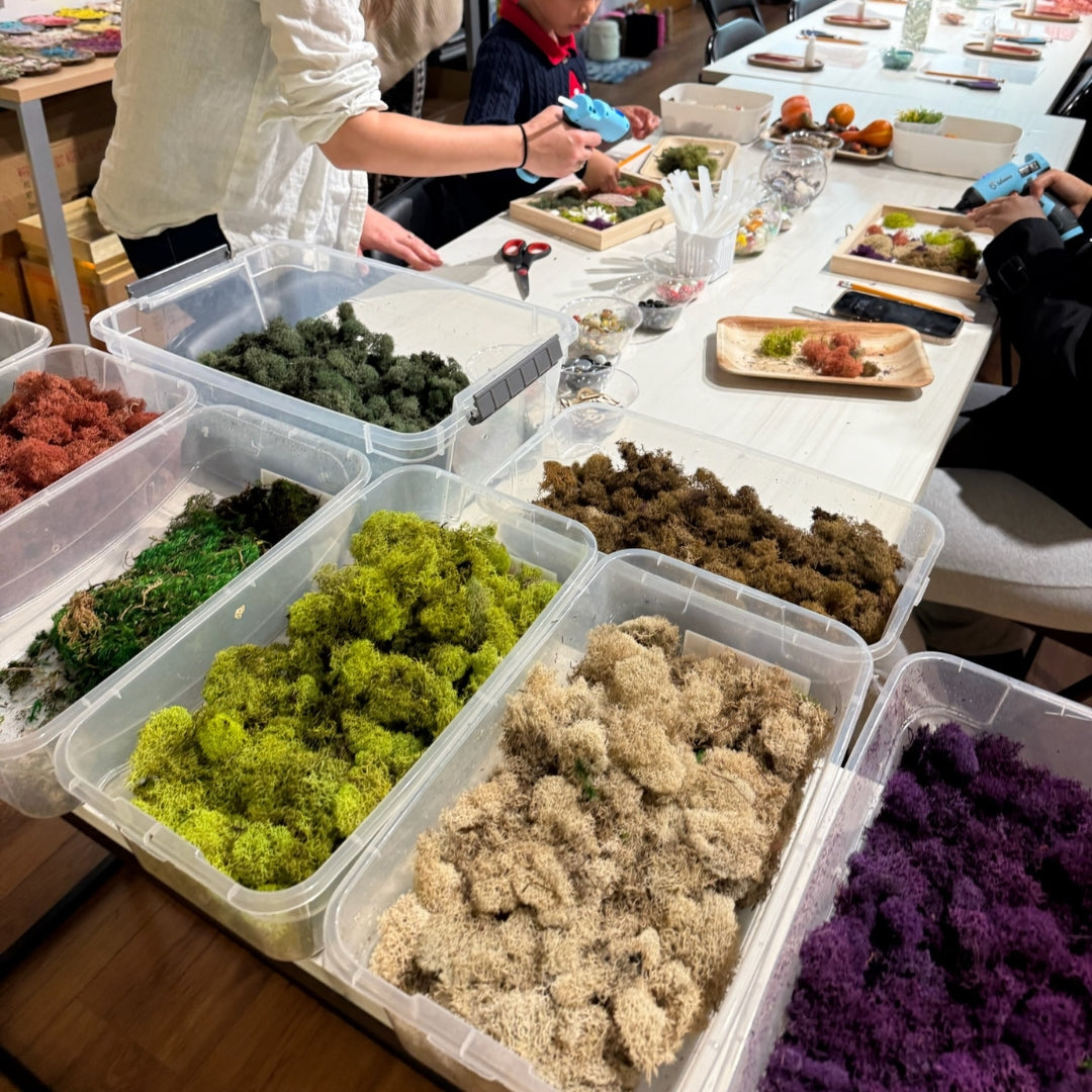 Moss Wall Art Workshop