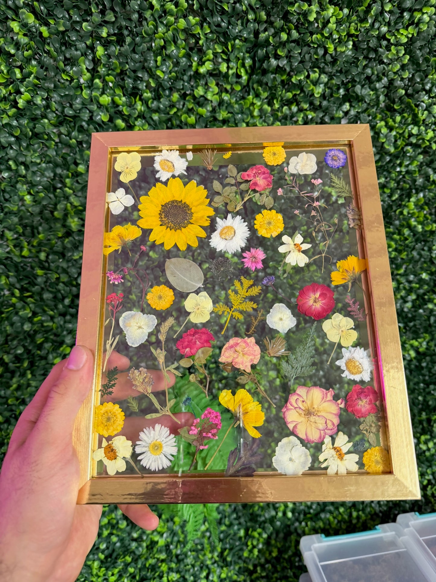 Pressed Flower Workshop