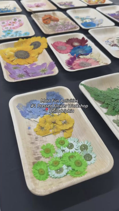 Pressed Flower Workshop